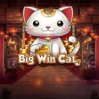Big Win Cat screenshot